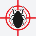 Bug Pest Control Perth