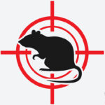 Eagle Pest Control of Rats and Mice