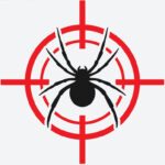 Spiders - Pest Control Perth